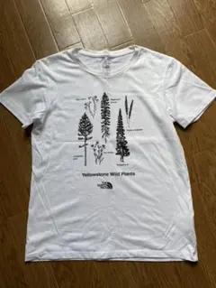 Item thumbnail for item 0900fb2d-428b-44d1-bf8b-2855e3e9da77