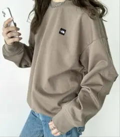 国内未発売 THE NORTH FACEワンポイント ロゴ スウェット