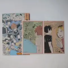 ハイキュー!!　メモリアルコレクション　第1弾　孤爪研磨　黒尾鉄朗　日向翔陽
