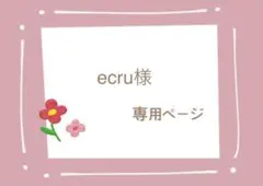 ecru様　専用ページ