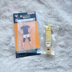 一番くじ　ハイキュー　10th anniversary 木兎光太郎　E賞　H賞