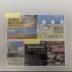 太閤の湯　優待チケット 有馬温泉