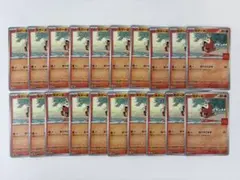 【A163〜166】ホゲータ マクドナルド プロモカード 20枚セット