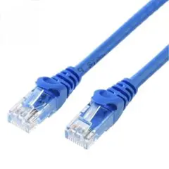 サンワサプライ カテゴリー6A LANケーブル 2m 500-LAN6A02BL