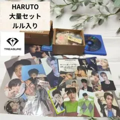 TREASURE HARUTO グッズ 大量セット ルル ぬいぐるみトレカハルト