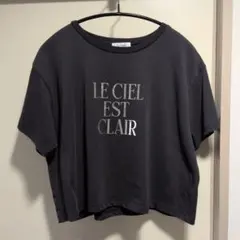 Techichi ロゴTシャツのサムネイル