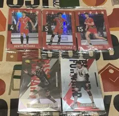 バレーボール日本代表選手カード