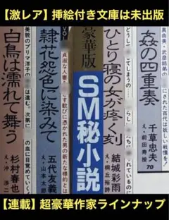 絶版】秘小説90.10 千草忠夫 結城彩雨 前田寿按 楡畑雄二 椋陽児 他