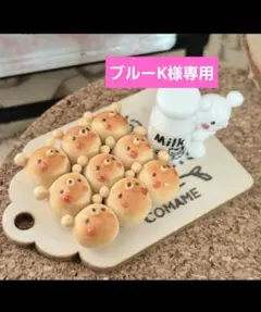 ブルーK様専用ページ