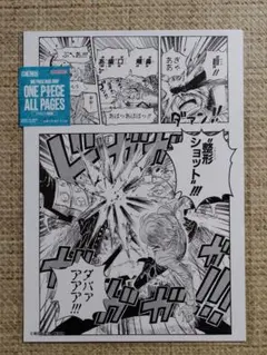 ONE PIECE ALL PAGES 整形ショットのサムネイル
