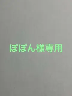【ぽぽん様専用】精選中国語重要文例集