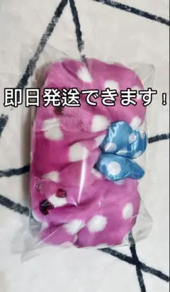 ディズニー ミニー パルパルーザ ファンキャップ ミニーのファンダーランド