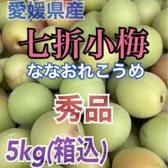 愛媛県産 七折小梅 秀品 5kg (箱込 )L～3L ななおれ梅組合・JA正規品