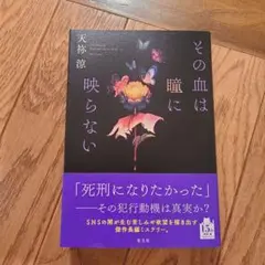 その血は瞳に映らない (ソフトカバー)　天祢涼