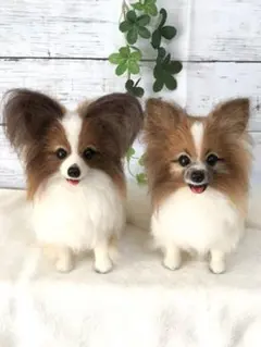 羊毛フェルト　ハンドメイド　オーダーメイド　犬【パピヨン】あいれ様専用