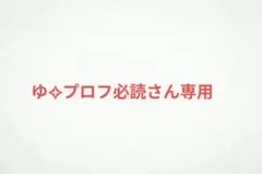 ゆ✧プロフ必読さん専用
