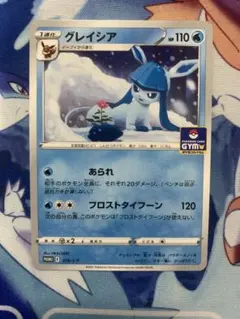 グレイシア 216/S-P ジムプロモ