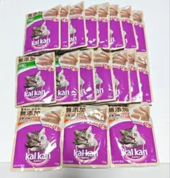 Item thumbnail for item 137fc22d-a5ec-49ad-96f2-966e2b8ca444