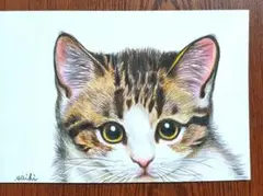 黒猫さん ピンク】ハガキサイズ 額無し☆ 絵画 イラスト 猫イラスト 猫