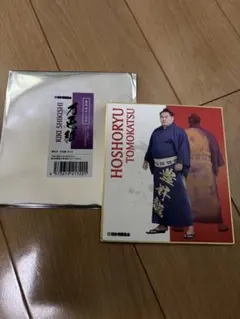 Item thumbnail for item 7d2f5759-4266-4be0-9c8e-bce949795d15