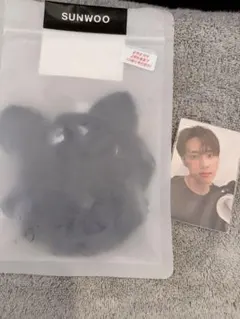 THE BOYZ SUNWOO ぬいぐるみ トレカ セット⑤