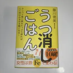 うつ消しごはん