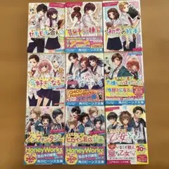 小説HoneyWorksシリーズ　9冊おまとめ