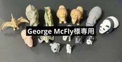 シャクレルプラネット