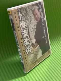 甲斐国征泰心/卜傳流柔術