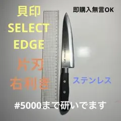 Item thumbnail for item f4ec1fdf-9fb7-4fcf-bb9c-5853c17fda7f