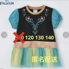 バースデイ　キッズ　Tシャツ　アナと雪の女王　アナ雪　バースデイ　新品　120