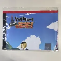 ハイキュー‼︎ 飛べ！最高の景色を全国の頂で！ 布ポスター さっぽろ