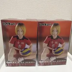 ハイキュー!! 孤爪研磨 ぬーどるストッパーフィギュア 2点セット
