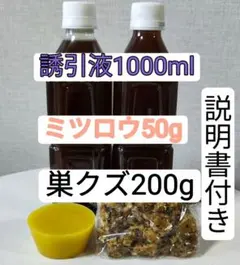 Item thumbnail for item 502465c6-5a77-4d96-a4a0-bf8af66fee3d