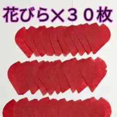 【30枚セット】IMP.　舞台「IMPACT」　落下物　　紙吹雪