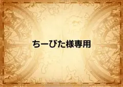 ちーびた様専用ページ