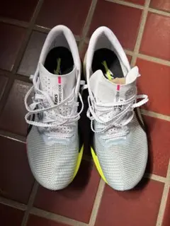 Item thumbnail for item 94e8a7c6-43d0-4124-8856-fc73e0eb38a8