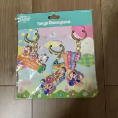 ディズニーリゾート　キーチェーン