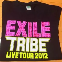 EXILE TRIBE 2012年 tower of wish Tシャツ