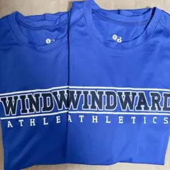 【S】 2枚セット メンズ Tシャツ 青 野球 応援 ユニフォーム 速乾 古着