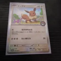 ポケモンカード　イーブイ　カジュアルバトル