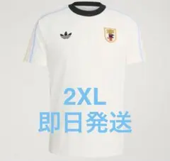 激レア☆大人気完売品！☆ワールドカップ アルゼンチン代表 エキップ