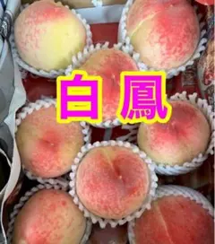 明日の午前中受け取り可能な方でお願いします！ 家庭用 22玉 5kg 白鳳