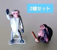 【2種セット】　チョコQ　どうぶつ奇想天外!編 ／チンパンジー　+ ニホンザル