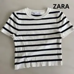 ZARA ストライプ クロップド丈ニット M