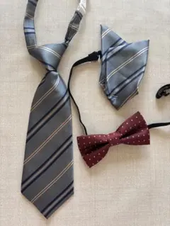 Item thumbnail for item 256c7db5-344c-439b-ae20-6be5e2592c09