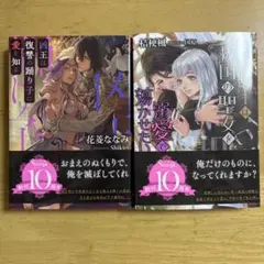 凶王は復讐の踊り子に愛を知る　2冊セット tl小説 文庫