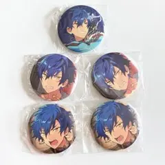 あんスタ 缶バッジ 漣ジュン 5点セット