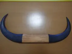 水牛の角のサムネイル