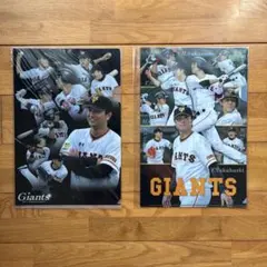 読売ジャイアンツ B5クリアファイル 2枚セット 月刊ジャイアンツ付録